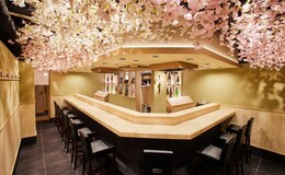 Tempura Asakusa SAKURA's image 3