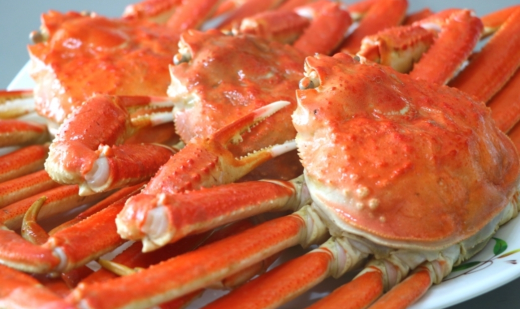 Kani Doraku – What to Expect, How to Reserve, and Course Reviews