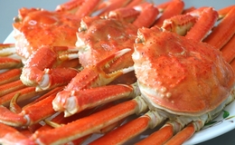 蟹道乐是什么样的店？介绍预约方法和套餐点评