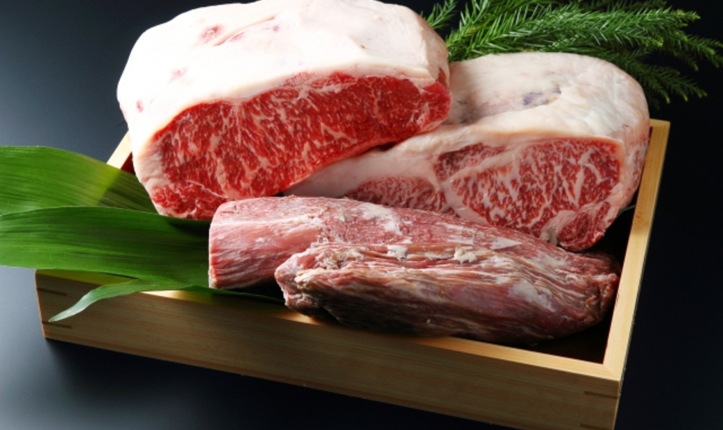 USHIGORO S. GINZA의 매력과 예약 방법 소개