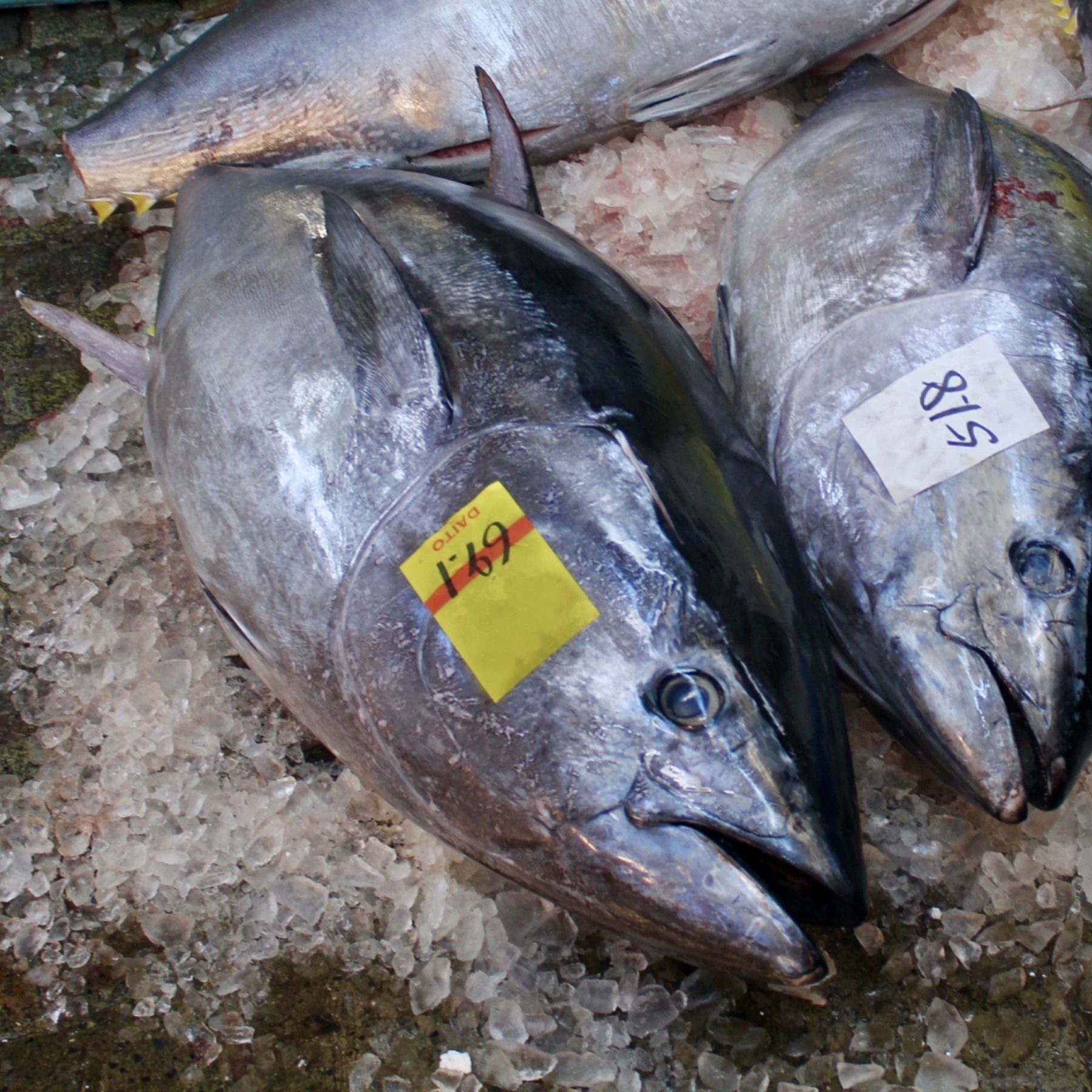 Top 10 Sushi Restaurants That Source Tuna from Yamayuki