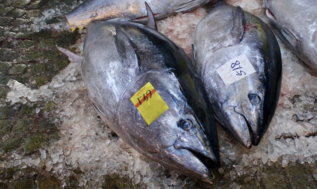 Top 10 Sushi Restaurants That Source Tuna from Yamayuki