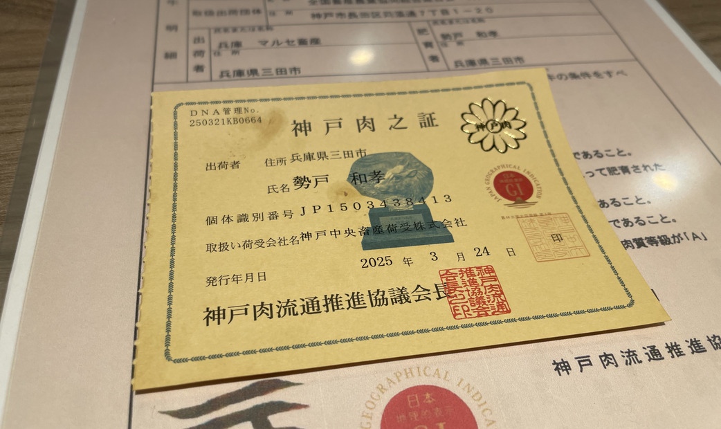 credentials