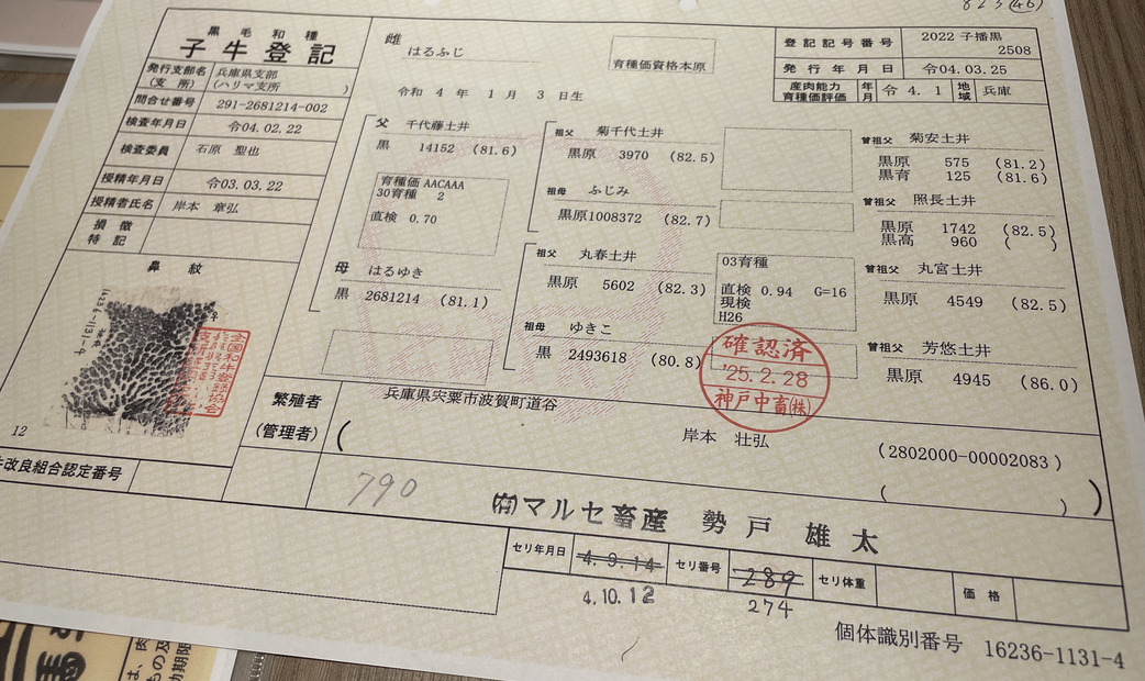 credentials