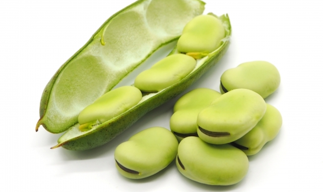Beans