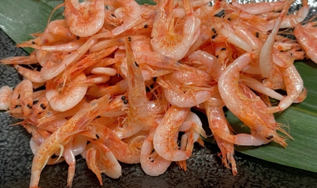 Sakura Ebi