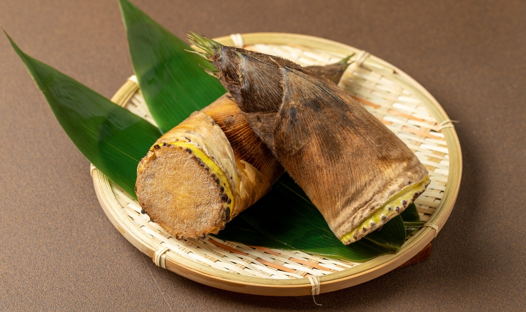 Seasonal Ingredients of Japan: Spring and Early Summer