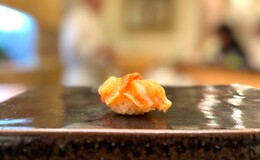 Sushi Matsuura's image 4