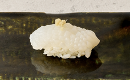 Takumi Sushi Owana's image 3