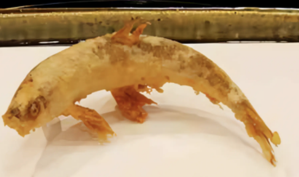 Fish Tempura of Tempura Hasegawa