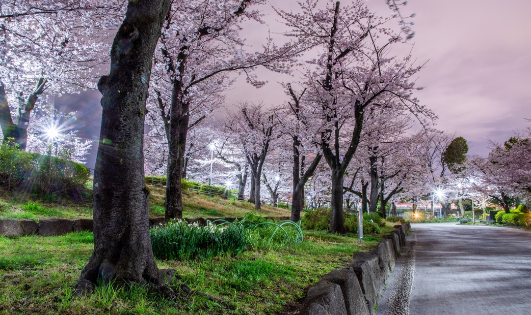 Sumida Park 