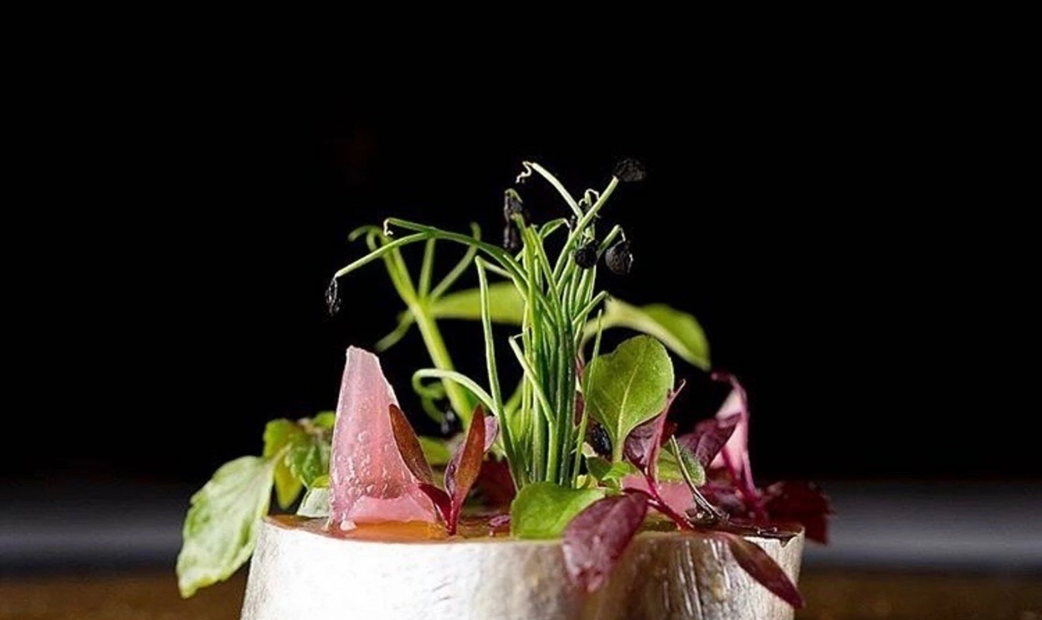 Vegetable appetizers with black background