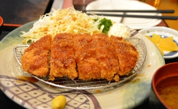 9 Recommended Tonkatsu Restaurants in Ginza