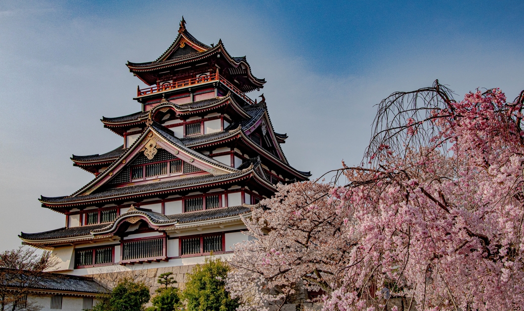 Fine Dining in Kyoto with Breathtaking Cherry Blossom Views