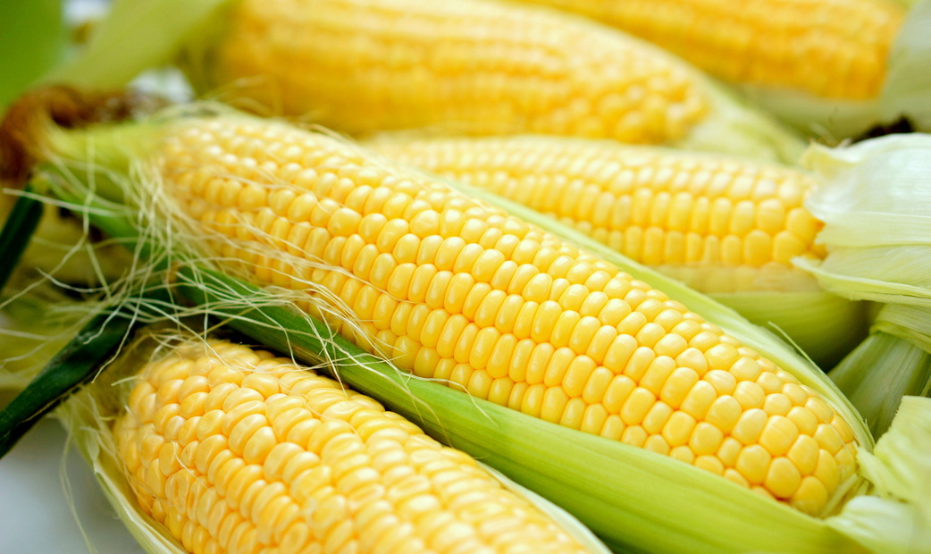 Sweet Corn