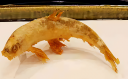 Tempura Hasegawa's image 2