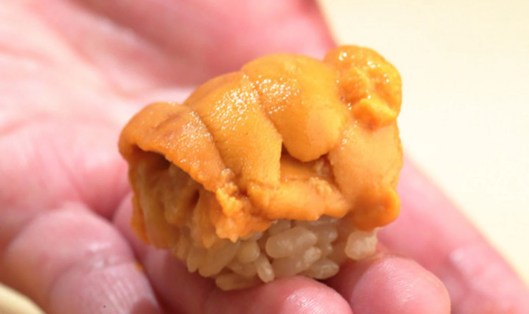 sea urchin sushi on hand