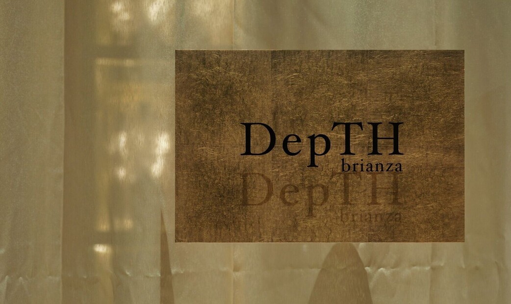 DepTH brianza's image 5
