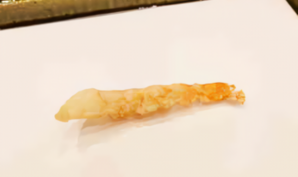 Tempura Hasegawa's image 3