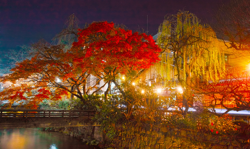 9 Fine Dining Restaurants to Enjoy Kyoto’s Autumn Foliage