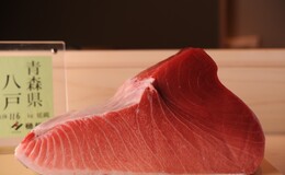 Sushi Miura's image 4