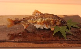 Sushi Miura's image 7