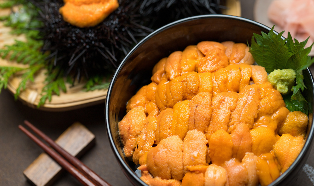 Sea Urchin (Uni)