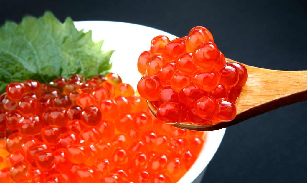 Salmon Roe (Ikura)