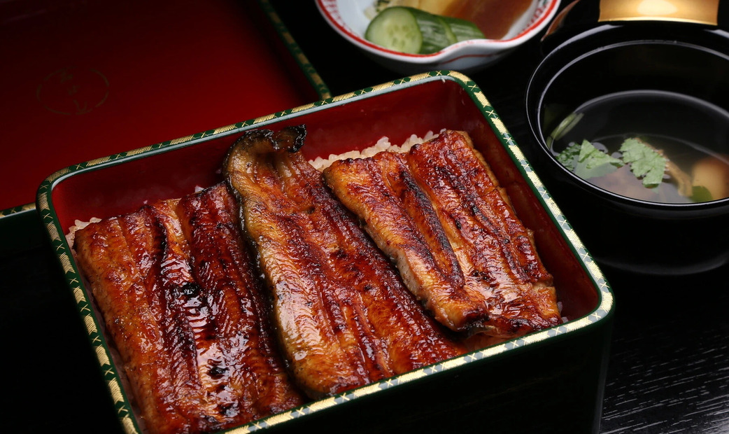 Eel in a box