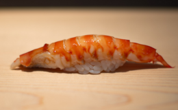Sushi Muto's image 6