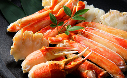 How to Eat Crab in Japan: Recommended Crab Restaurants for Travelers in Tokyo, Osaka, Hyogo, and Hokkaido