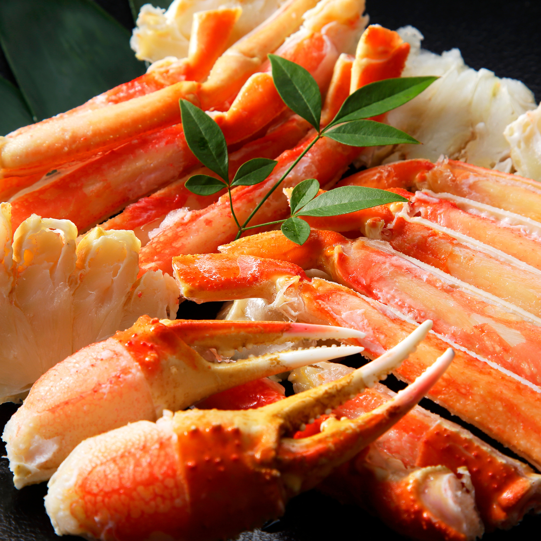 How to Eat Crab in Japan: Recommended Crab Restaurants for Travelers in Tokyo, Osaka, Hyogo, and Hokkaido