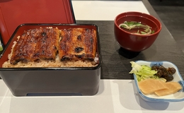 8 Best Unagi Restaurants in Tokyo