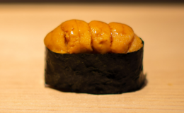 Sushi Muto's image 4