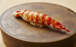 Sushi Haku's image 8