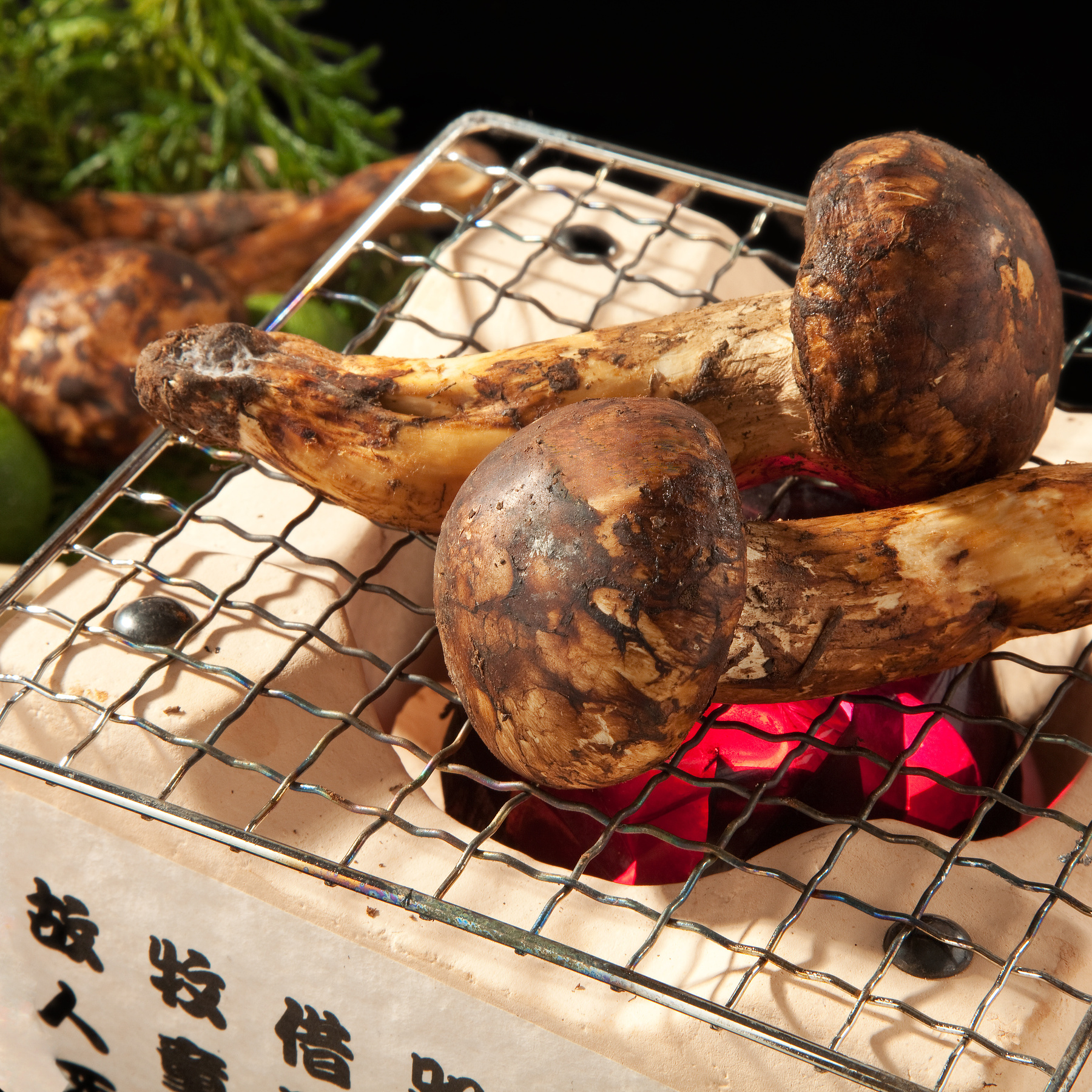 What is Matsutake? Discover 8 Restaurants in Tokyo, Japan Where You Can Enjoy This Delica