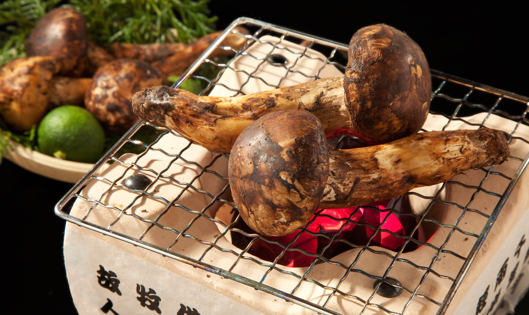 What is Matsutake? Discover 8 Restaurants in Tokyo, Japan Where You Can Enjoy This Delica