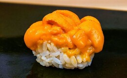 Sushi Haru's image 3