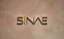 SINAE's image 1