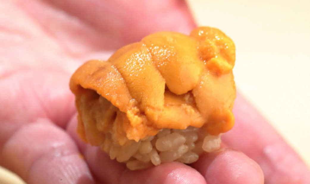  sea ​​urchin sushi