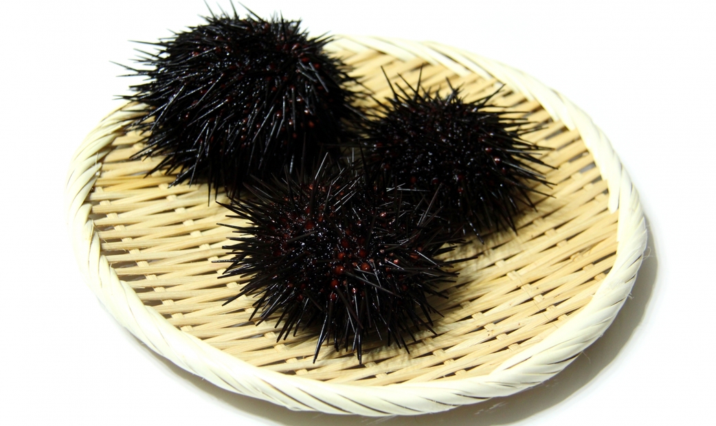 Murasaki Uni (Purple Sea Urchin) 